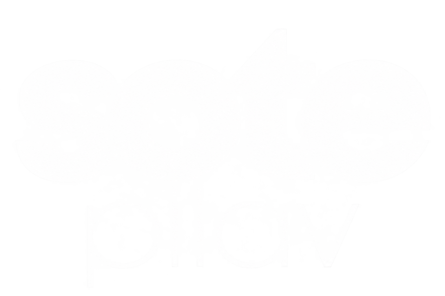 Sote Pilav